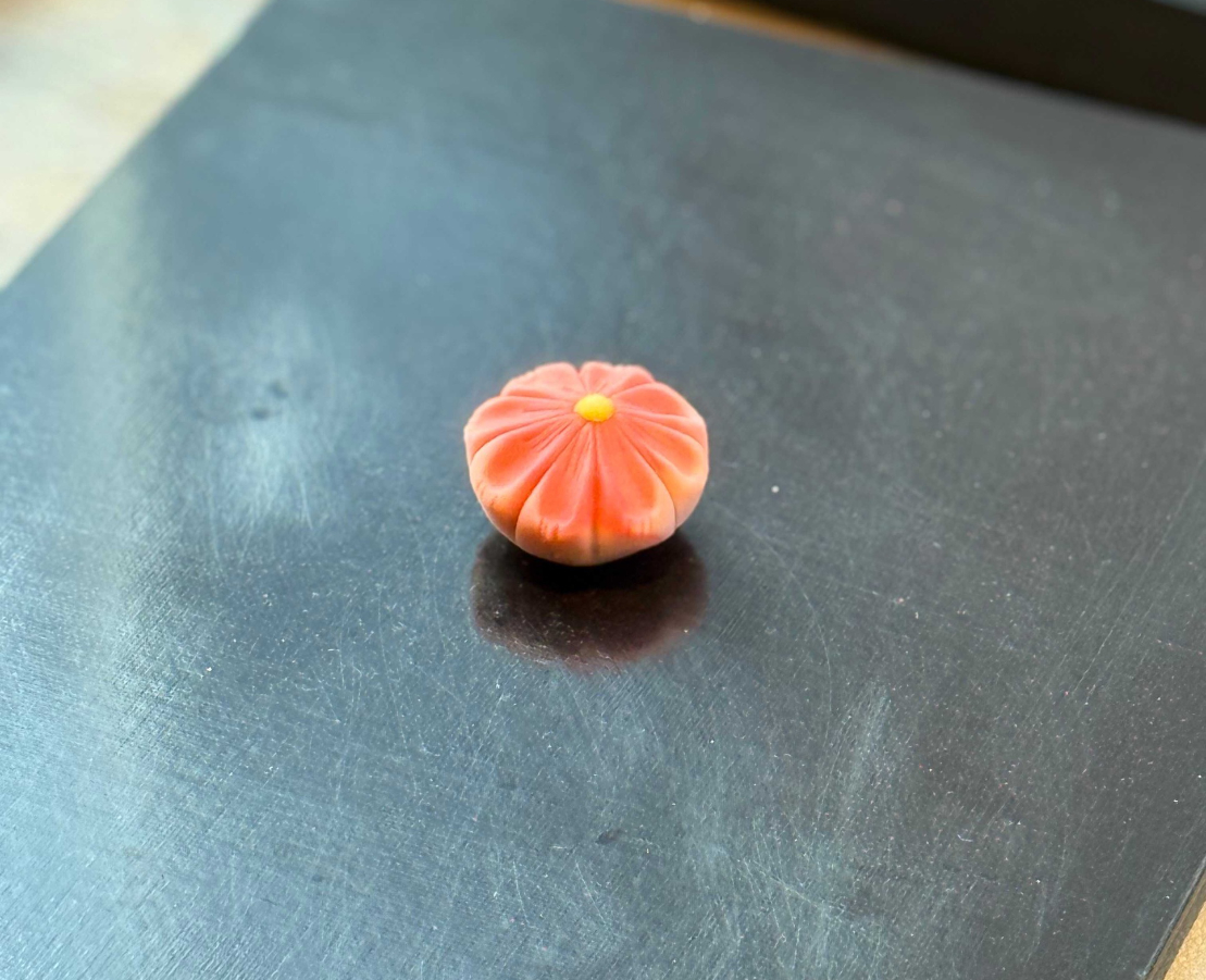 コスモス